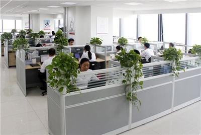 山東正舟 濱州網(wǎng)站制作的專業(yè)技術(shù)咨詢與方案制定